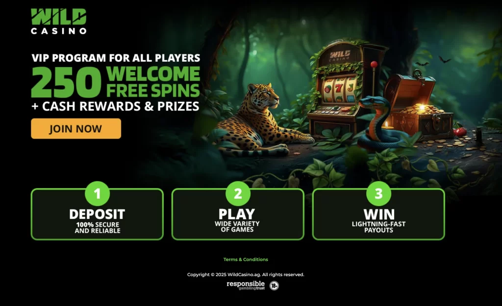 Wild casino New Online Casino Real Money